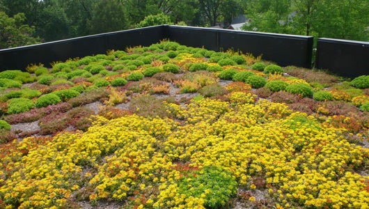 Green Roof